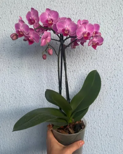 galeria (5)